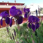 Ciliegia Rossa 4* Colonnella