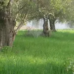 Aparthotel Ciliegia Rossa 4*
