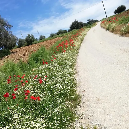 Ciliegia Rossa Lejlighedshotel 4*