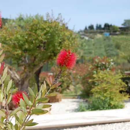 Ciliegia Rossa Appart hôtel