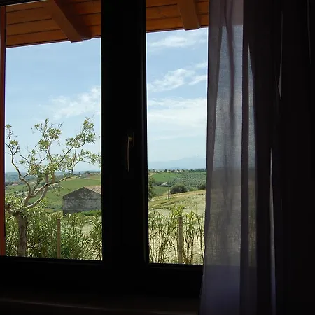 Ciliegia Rossa 4* 科隆内拉