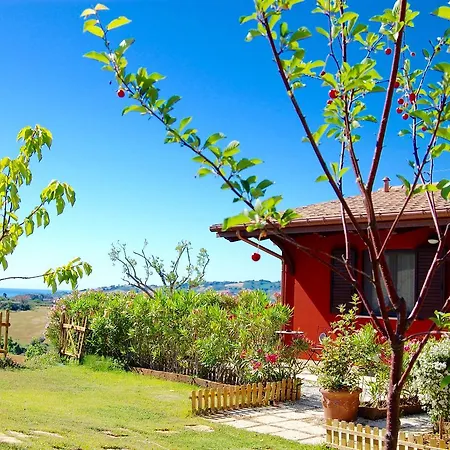 Ciliegia Rossa 科隆内拉