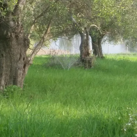 公寓式酒店 Ciliegia Rossa 4*