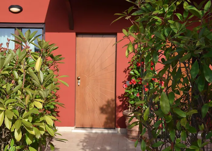 Ciliegia Rossa コロンネッラ