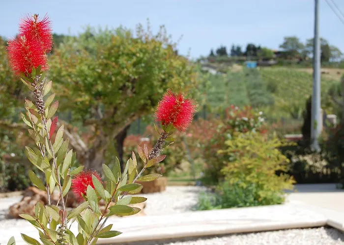 Ciliegia Rossa Apartmanhotel