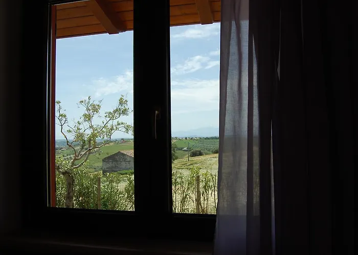 Ciliegia Rossa 4* コロンネッラ