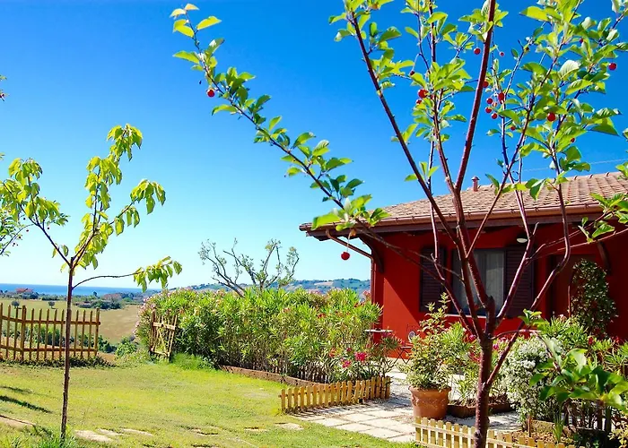 Ciliegia Rossa Colonnella