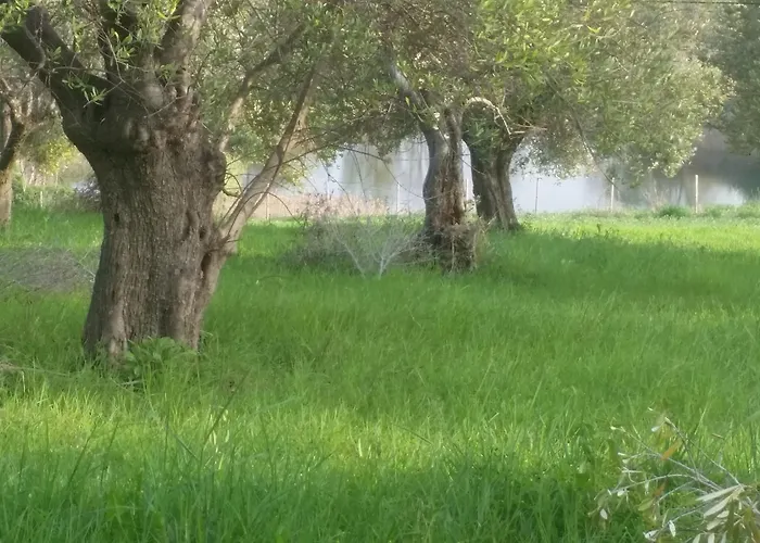 アパートホテル Ciliegia Rossa 4*